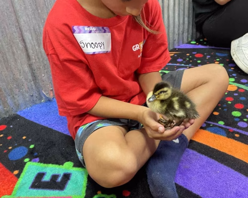 Attomt7rxsyulbrfqazrh81hmpgqgqdrmnfsz6brfmquss 1